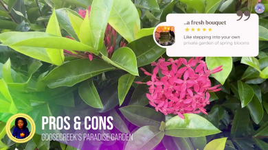 vlcsnap-2025-05-08-08h03m25s538